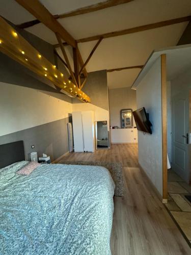 een slaapkamer met een groot bed in een kamer bij La grande chambre in Rabastens