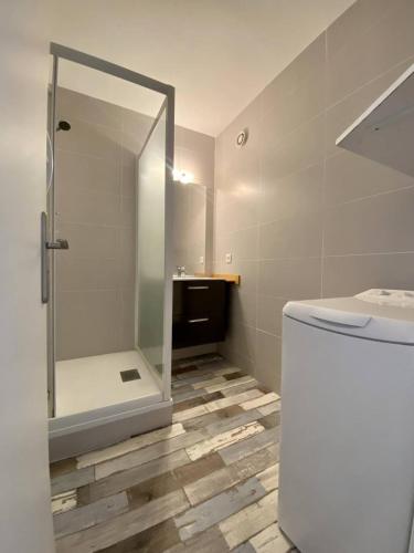 une salle de bain avec une douche, des toilettes et un lavabo dans l'établissement BEL APPARTEMENT CLIMATISE CENTRE VILLE T2 - 4 PERSONNES AVEC LOGGIA VUE SUR MER, à La Grande Motte