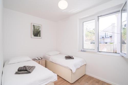 Apartment Baselli