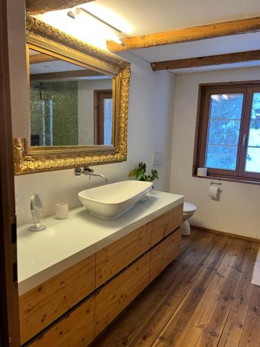 a bathroom with a sink and a mirror at Alpen Oase Natur in St. Gallen