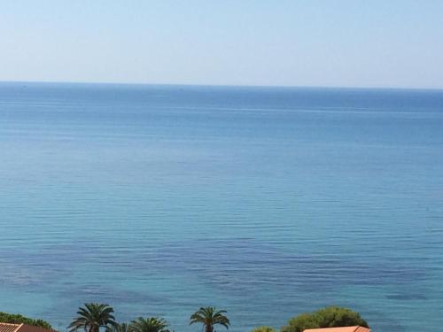 a view of the ocean with palm trees at Cala Arenella in Sciacca