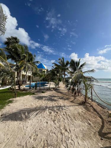 a sandy beach with palm trees and the ocean at Casa Cenote Hotel in Tankah