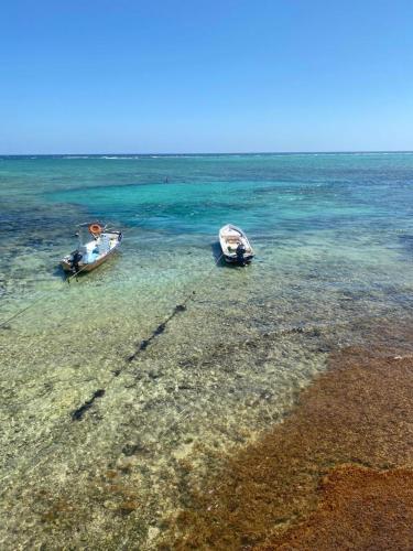 two boats sitting in the water on a beach at Casa Cenote Hotel in Tankah