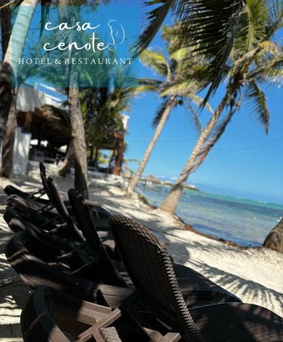 a row of chairs on a beach with palm trees at Casa Cenote Hotel in Tankah