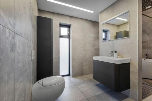 a bathroom with a toilet and a sink and a mirror at Flott moderne hus langs elven! in Fredrikstad