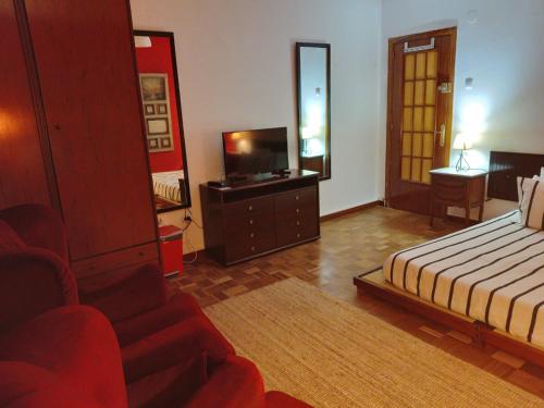 a bedroom with a bed and a tv and a couch at Hostal in Mieres