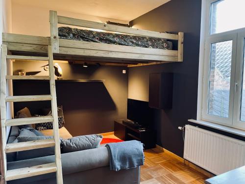 a bedroom with a bunk bed with a ladder at Les Volets Blancs in Braine-le-Comte