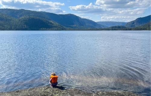 a person standing on the shore of a large lake at Beach Front Home In Dølemo With Wifi in Dølemo