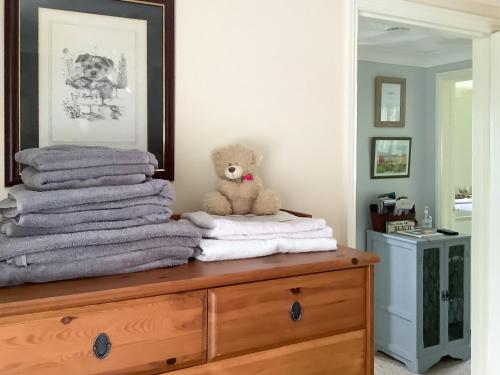 a teddy bear sitting on top of a dresser with towels at Bramley Lodge Annex in Clenchwarton