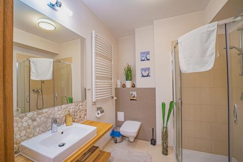 a bathroom with a sink and a toilet and a shower at Zacisze górskie in Szklarska Poręba