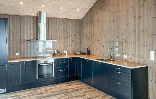 a kitchen with navy blue cabinets and a sink at Gorgeous Home In Evje With Lake View in Evje