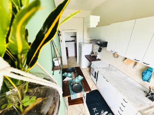 a kitchen with white cabinets and a plant in a vase at Villa Pina in Reggio Calabria