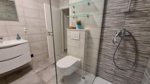 ein Bad mit einer Dusche, einem WC und einem Waschbecken in der Unterkunft Apartment Coraline on Korcula, seafront in Smokvica