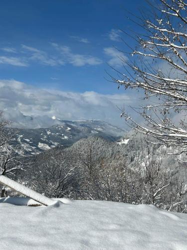 Gallery image of House in The Mountains in Khulo