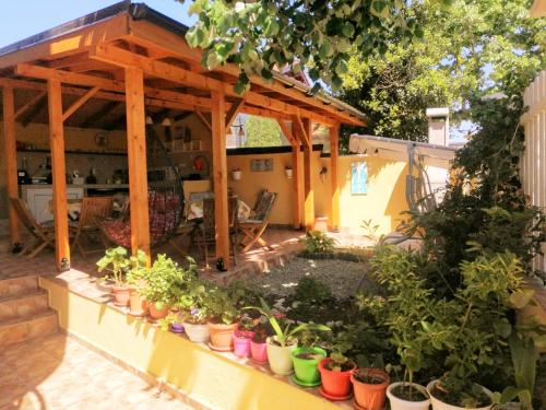 錫內莫雷茨的住宿－Къща за гости "Венито"，一个带盆栽和木凉棚的庭院
