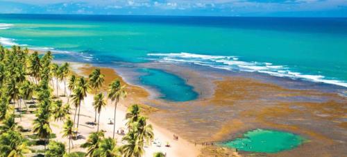 an aerial view of a beach with palm trees and the ocean at Garden Térreo 3 Quartos Piscinas Naturais in Praia do Forte