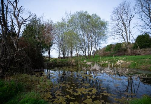 Gallery image of Champs des Rêves in Busserolles