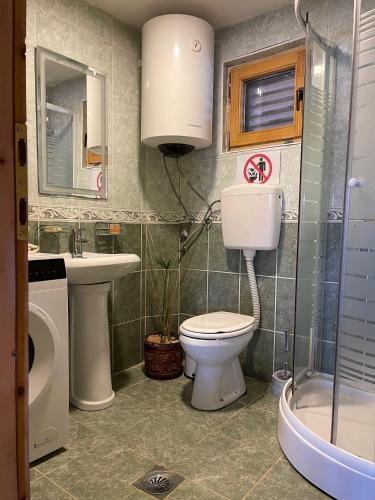 a bathroom with a toilet and a sink and a shower at NuA House "Kapri" in Gornji Štoj