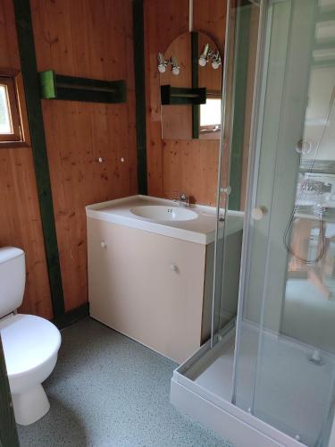 une salle de bain avec toilettes, lavabo et douche dans l'établissement Camping la Vallée, à La Tour-dʼAuvergne