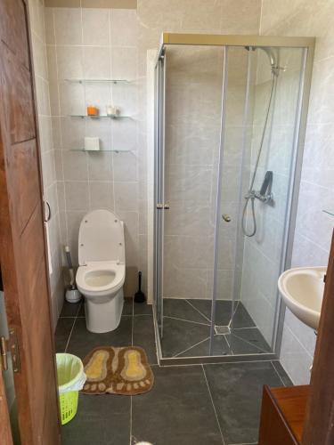 a bathroom with a shower with a toilet and a sink at Studio Espiral in São Tomé