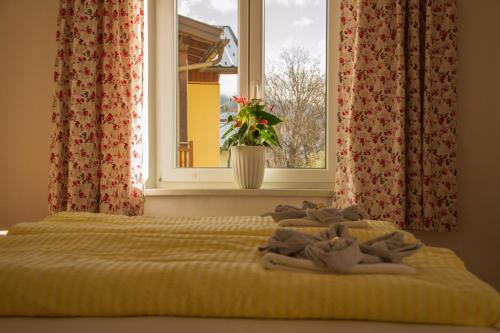 Fotografie z fotogalerie ubytování Pension Hrnjic v destinaci Seeboden