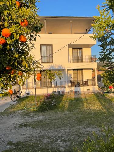 an orange tree in front of a house at Dalaman Airport AliBaba House in Dalaman