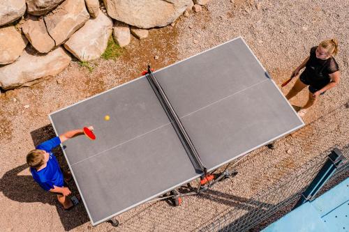 an overhead view of a ping pong table at Budget Glamping Safaritent La Sténiole in Barbey-Séroux