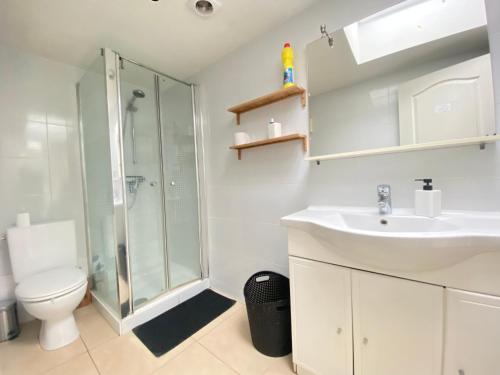 a bathroom with a shower and a sink and a toilet at Chambre/ maison / Zaventem in Zaventem