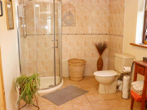 een badkamer met een douche en een toilet bij Wheatfield Lodge in Fethard on Sea