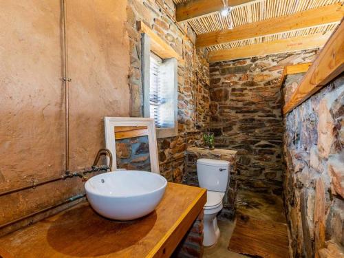 een badkamer met een wastafel en een toilet bij Die Rooidakhuis in Cloeteskraal