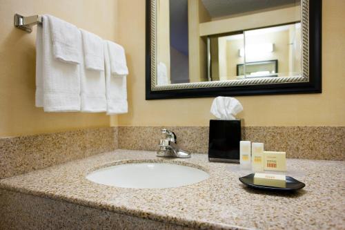 a bathroom counter with a sink and a mirror at Courtyard Sacramento Airport Natomas in Sacramento