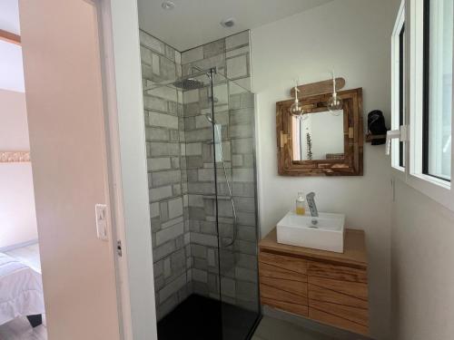 un bagno con doccia, lavandino e specchio di Gîte du Pin avec Spa privatif a Pey