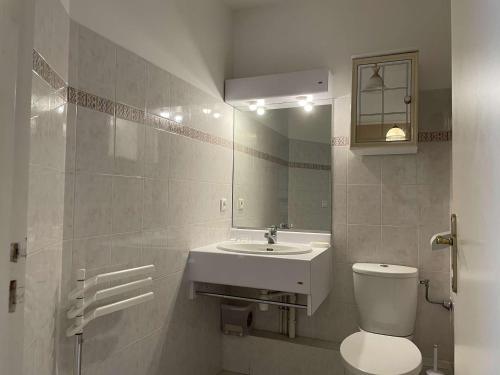 une salle de bain avec toilettes, lavabo et miroir dans l'établissement Appartement 2P à Juan les Pins : emplacement idéal, parking, terrasses, proche plage et commerces - FR-1-252-188, à Antibes