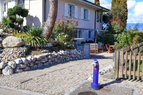 a blue fire hydrant in front of a house at Bohème - Home cinéma, Terrasse, Parking & Proche Lac in Estavayer-le-Lac
