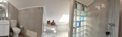 Un baño con ducha, inodoro y ventana. en O Encanto da Vila, en Vila Real de Santo António