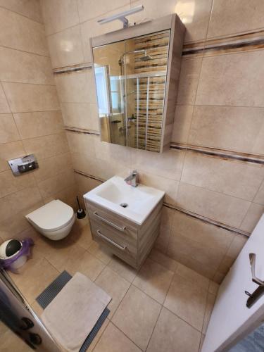 a bathroom with a sink and a toilet and a mirror at Guest House Karlobag - Villa Rose in Karlobag