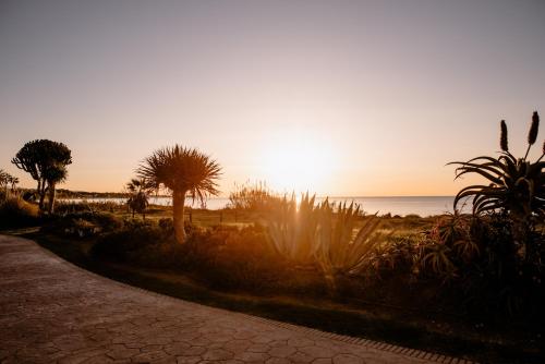 a sunset on the beach with palm trees and a path at THE FLAG HOTEL Marbella, Estepona Adult Recommended in Estepona