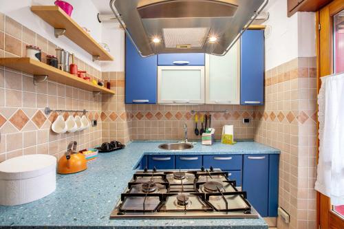 cocina con armarios azules y fogones en La Maison des Jumeaux, en Châtillon