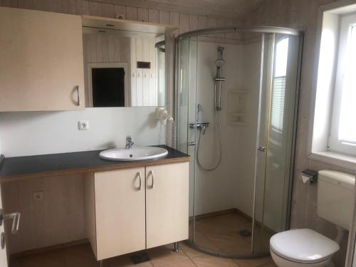 uma casa de banho com um lavatório, um chuveiro e um WC. em Ferienhaus Freibeuterweg 24 em Lübeck