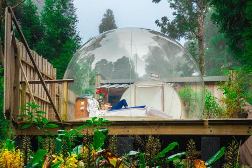 a glass dome in a garden with a tent at KAZ INSOLITE in Saint-Louis