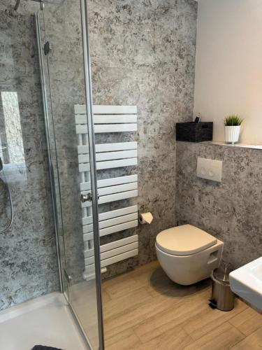 a bathroom with a toilet and a shower at Weinburg -Das Ferienhaus in Cochem