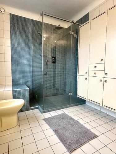 y baño con ducha, aseo y lavamanos. en Maison entière/ Entire house with privat 3 Parking, en Kayl
