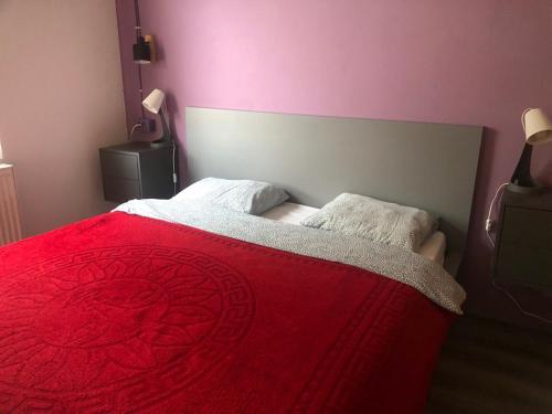 ein Schlafzimmer mit einem roten Bett mit zwei Kissen in der Unterkunft Camelia Apartment with a breakfast in Subotica