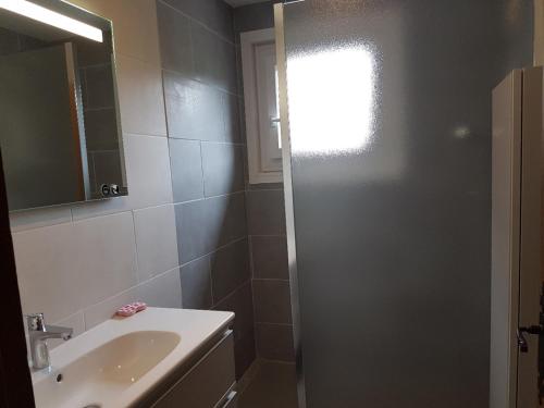 une salle de bain avec un lavabo et une douche avec un miroir dans l'établissement Charmant appart 1 chambre avec Wi-Fi et parking aux Gets - FR-1-671-227, aux Gets