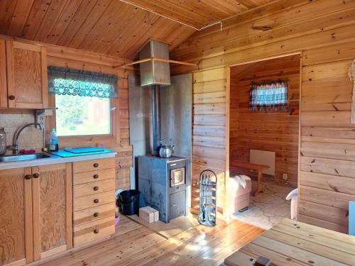 eine Küche mit einem Herd in einer Holzhütte in der Unterkunft Sam Arctic in Övertorneå
