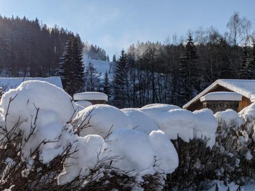 Ein Haufen Schnee auf einem Busch in der Unterkunft Chalupa u Anenské in Žďárský Potok