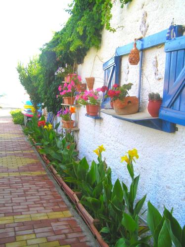 Κήπος έξω από το Katerina Seaside Studios