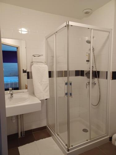 une salle de bain avec douche et lavabo dans l'établissement Auberge La Péniche, à Pierrefitte-sur-Loire