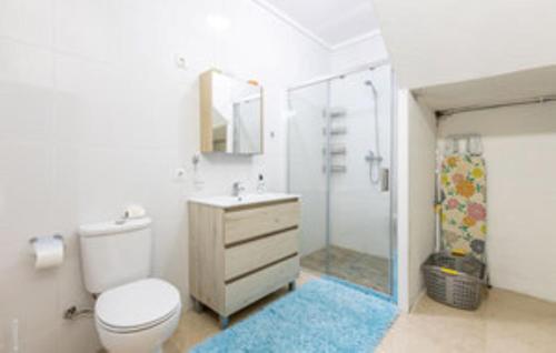 ein Bad mit einem WC, einem Waschbecken und einer Dusche in der Unterkunft Casa playa Sardiñeiro in Sardiñeiro de Abajo