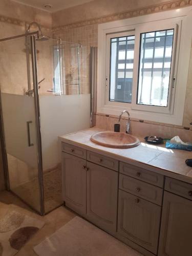 une salle de bain avec un lavabo et une douche dans l'établissement La porte du Soleil, à Bagnols-en-Forêt